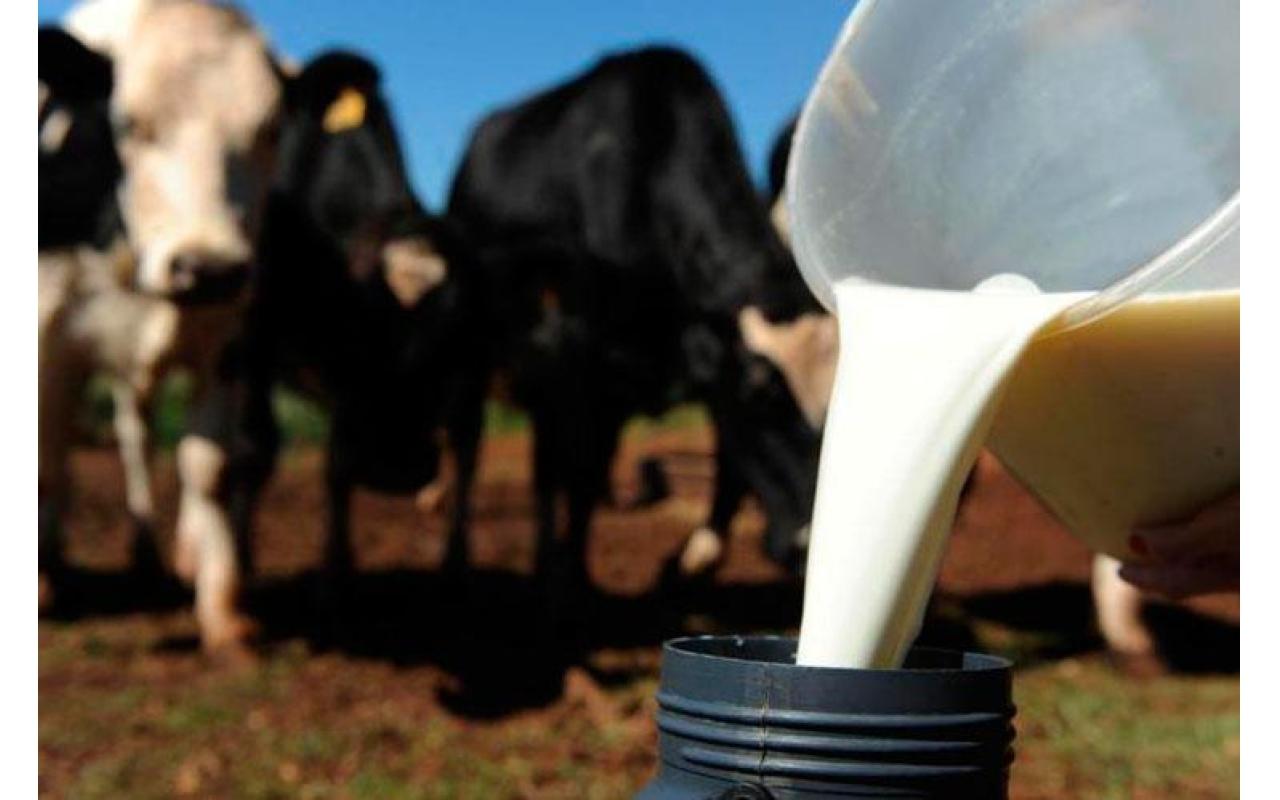 Programa de Assistência Técnica e Gerencial será apresentado para produtores de leite de Petrolândia