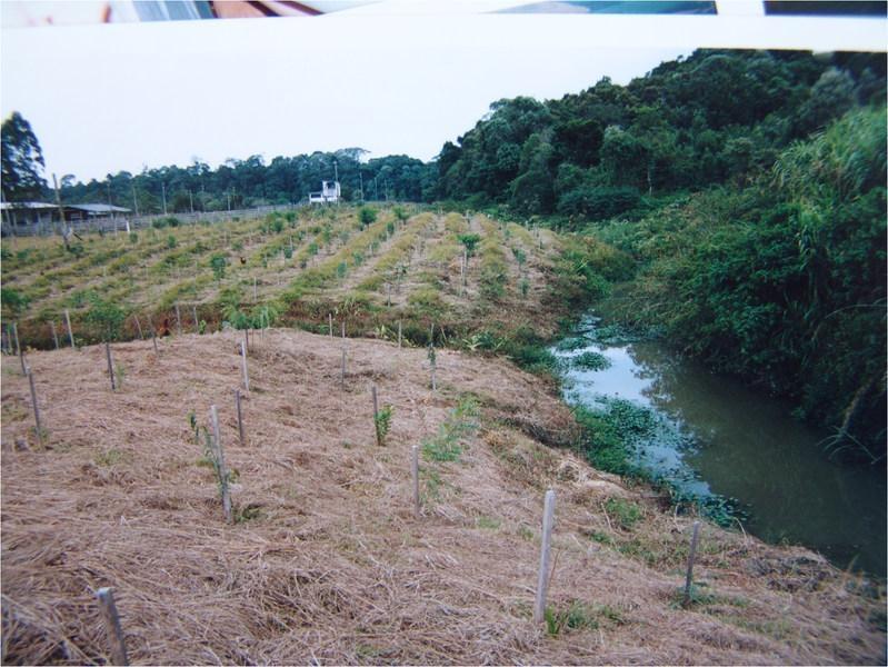 Programa "Restaura Alto Vale" será implantado em Chapadão do Lageado
