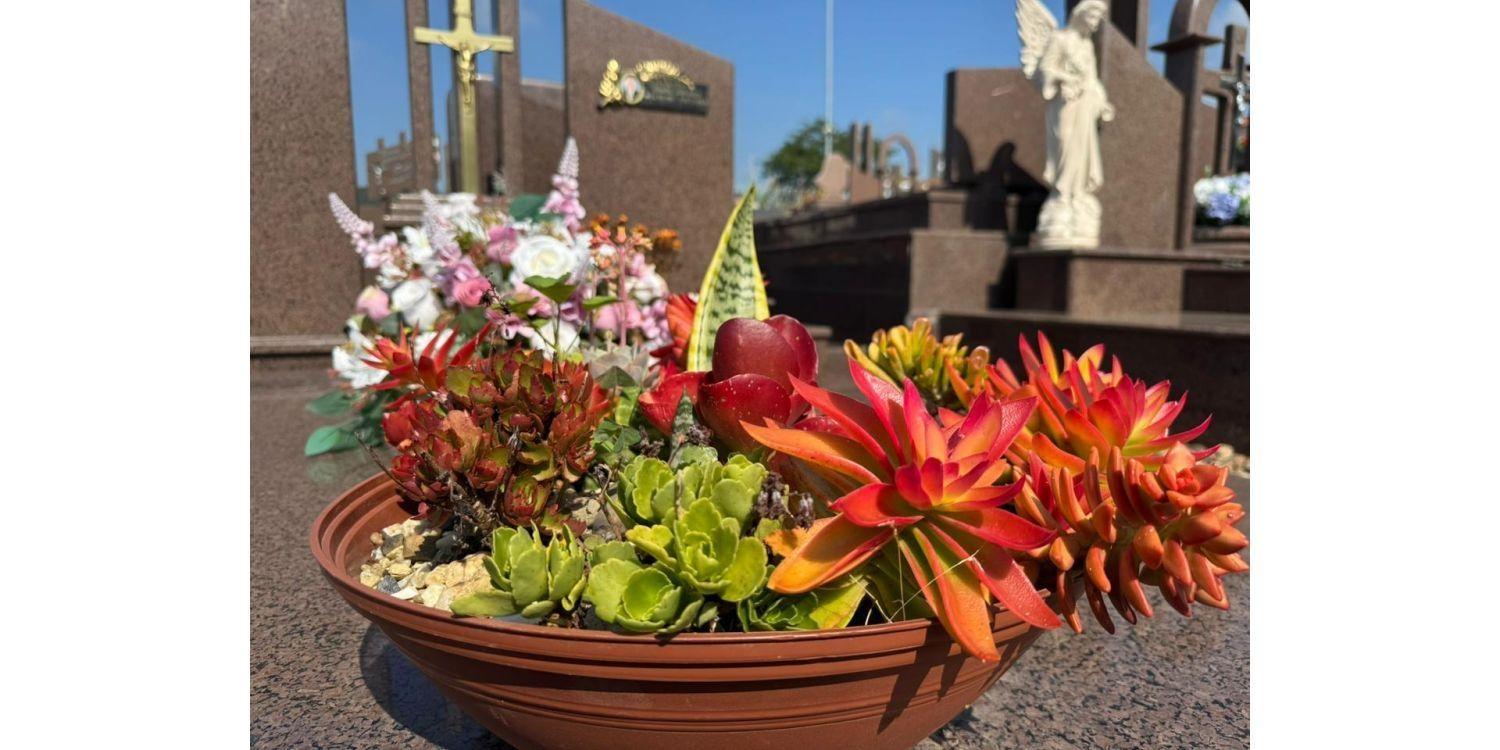Projeto “Flores Vivas” incentiva uso de plantas naturais em cemitérios para combater a dengue em Ituporanga