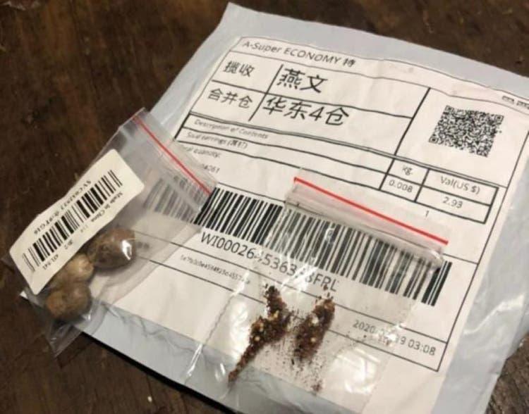 Quase metade das sementes misteriosas da China analisadas apresentam risco às lavouras do Brasil 