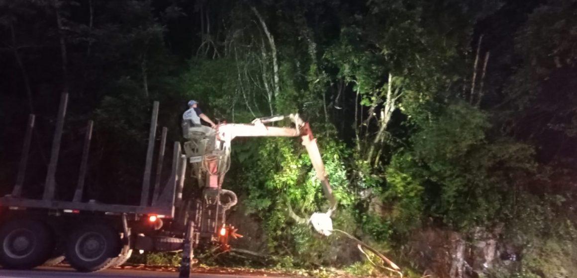Queda de árvores interrompe trânsito na BR-470 em Ibirama