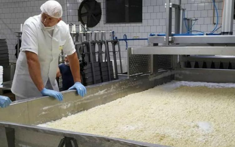 Queijo de cerca de uma tonelada é atração da Festa Estadual do Queijo, em Laurentino