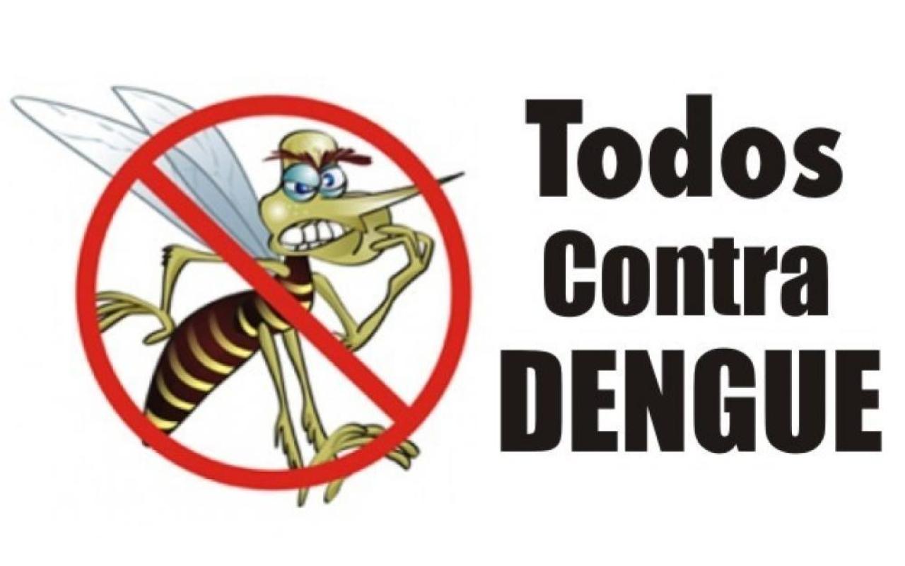 Rede de armadilhas auxilia no combate ao mosquito da dengue em Ituporanga