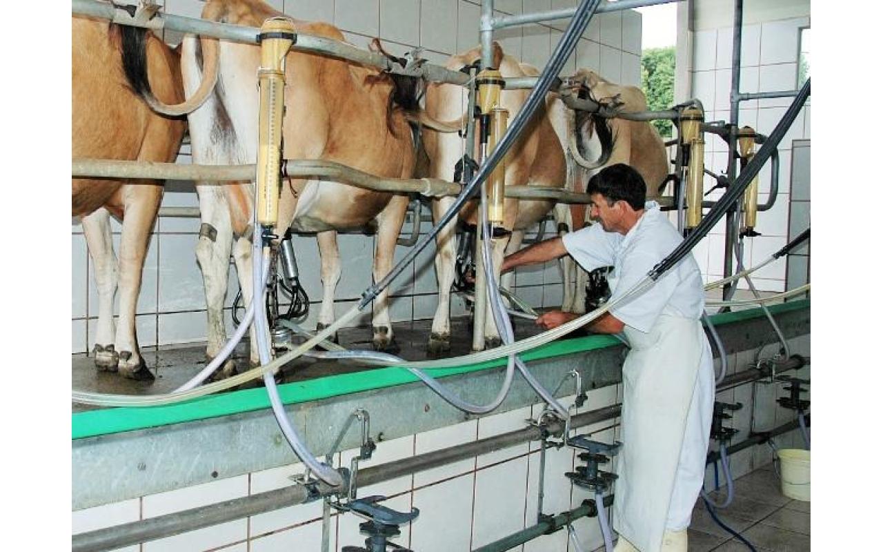 Relação entre oferta e demanda provoca alta no preço pago ao produtor de leite em SC 