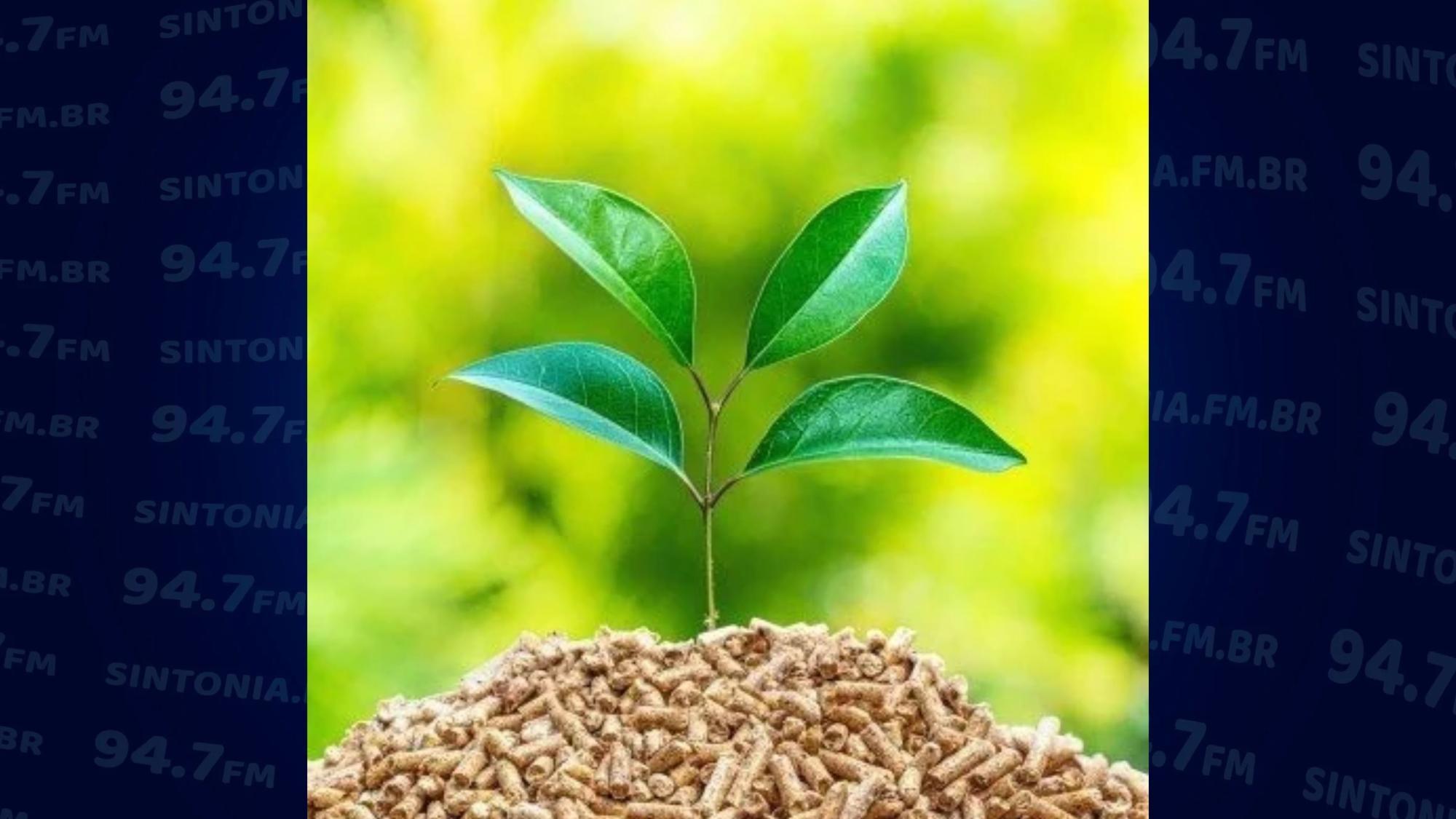Resíduos de agropecuária do Alto Vale serão mapeados em estudo sobre bioenergia em SC
