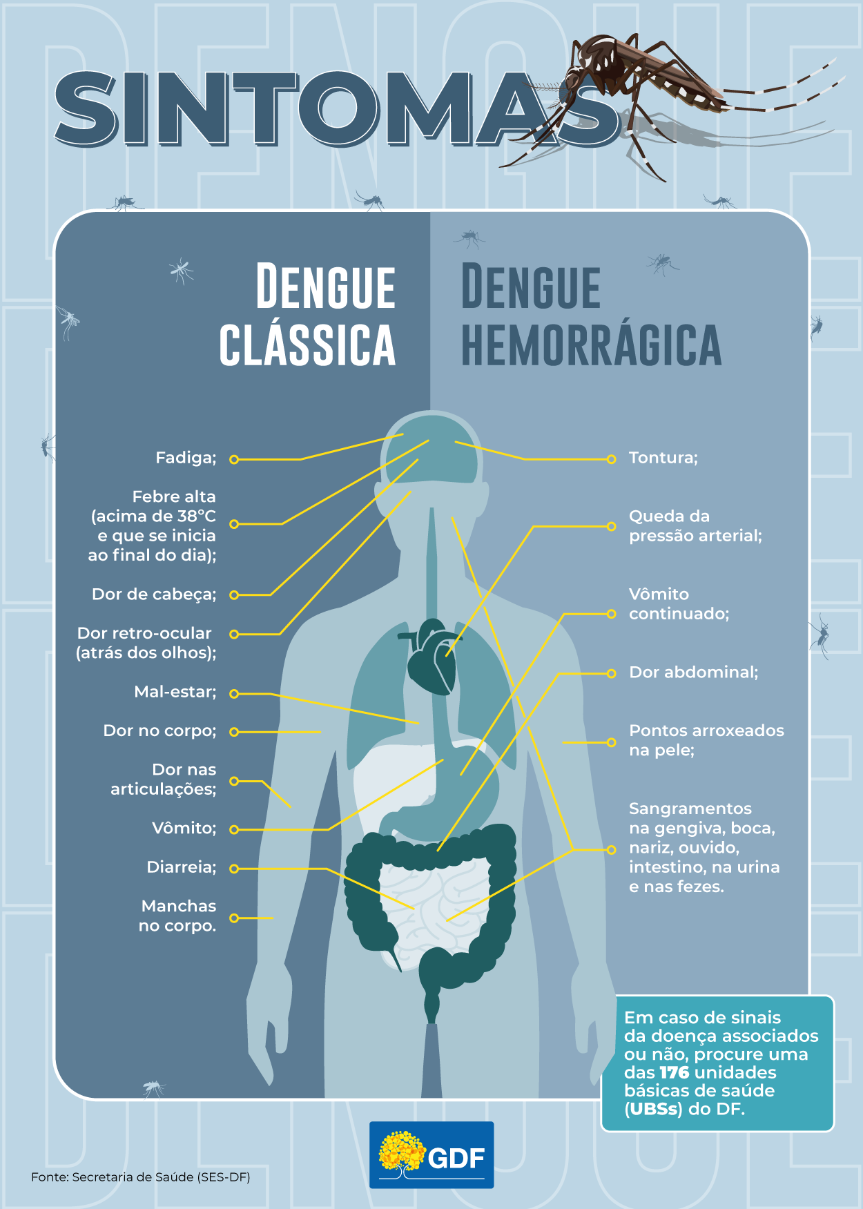 Rio do Sul confirma os primeiros casos autóctones de dengue