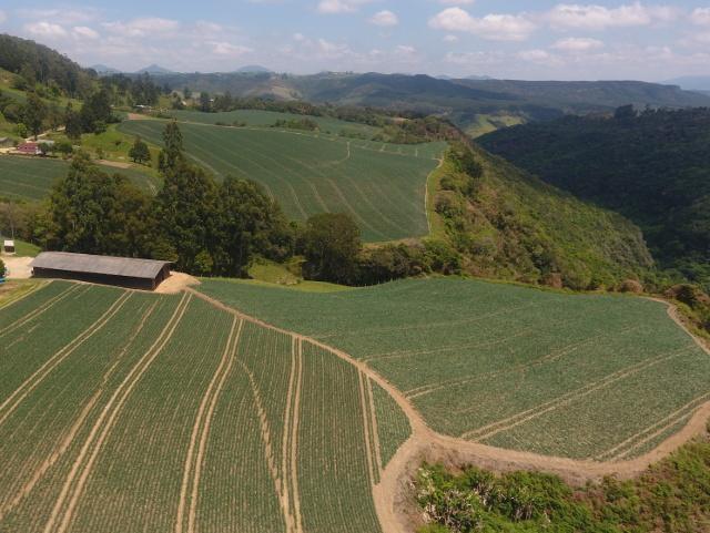 Rio do Sul sedia lançamento do Plano Safra com investimentos de até R$ 83 bilhões