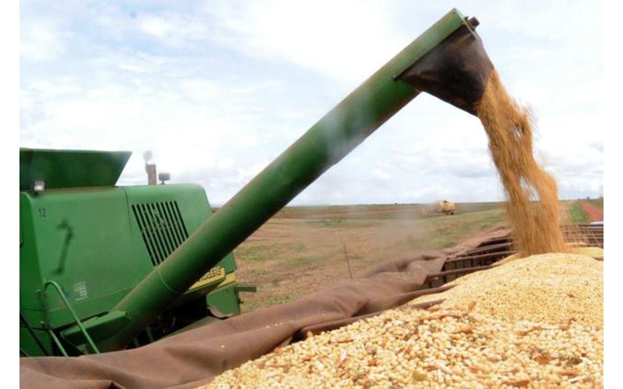 Safra de grãos deve fechar 2019 com alta de 4,2%, estima IBGE
