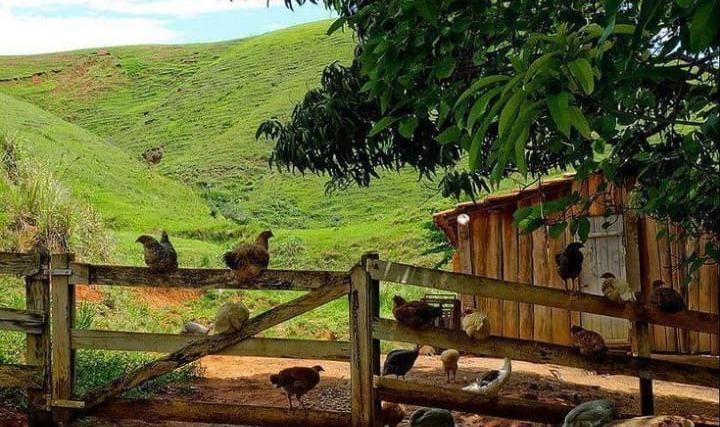 Santa Catarina altera regras do Programa Fundo de Terras e facilita a aquisição de imóveis rurais