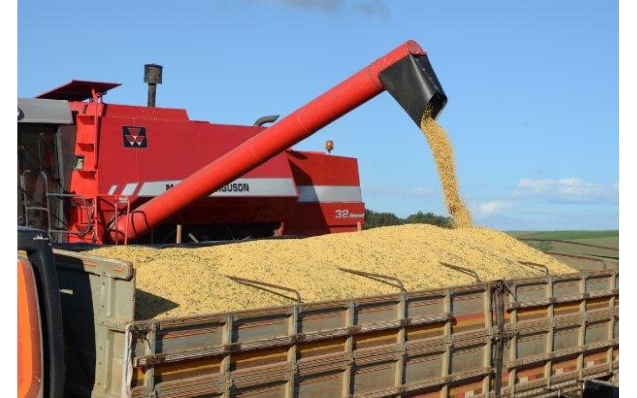 Santa Catarina exportou quantidade recorde de soja até maio, aponta Epagri/Cepa 