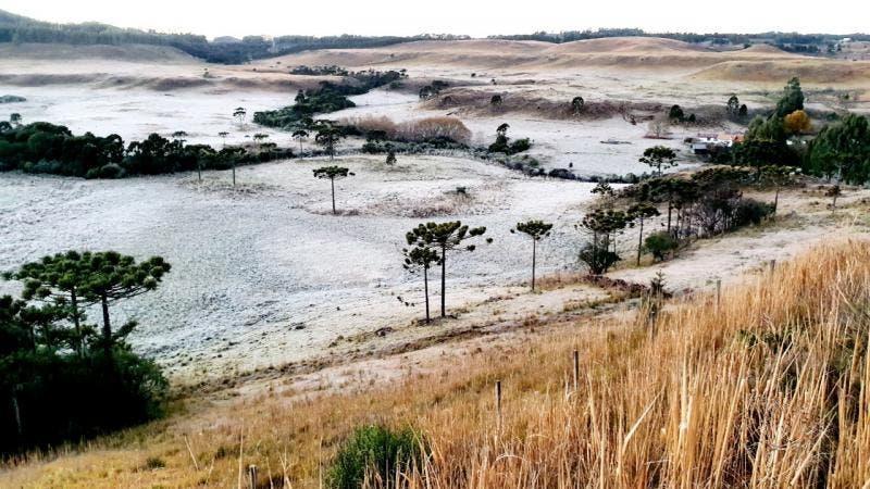 Santa Catarina registra temperaturas negativas e quinta amanhece com geada