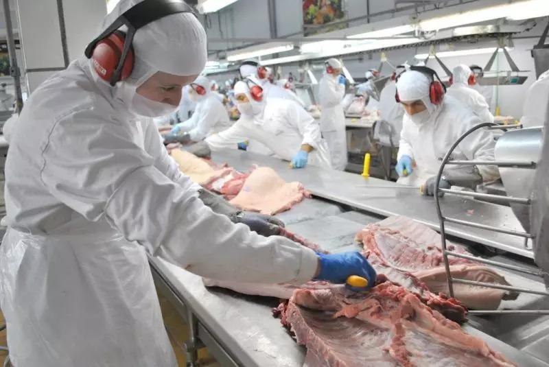 SC bate recorde na exportação de proteínas animais e carne suína alcançou o melhor desempenho da série histórica
