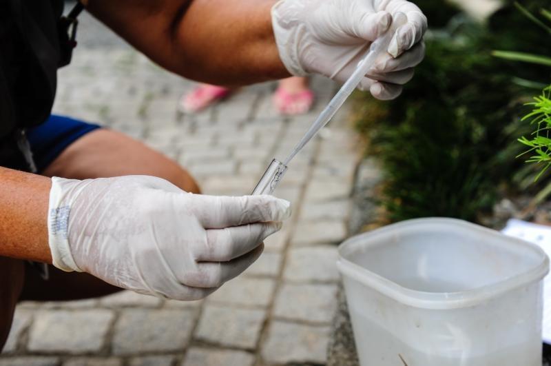 SC está entre os cinco estados que registraram maior aumento em casos prováveis de dengue