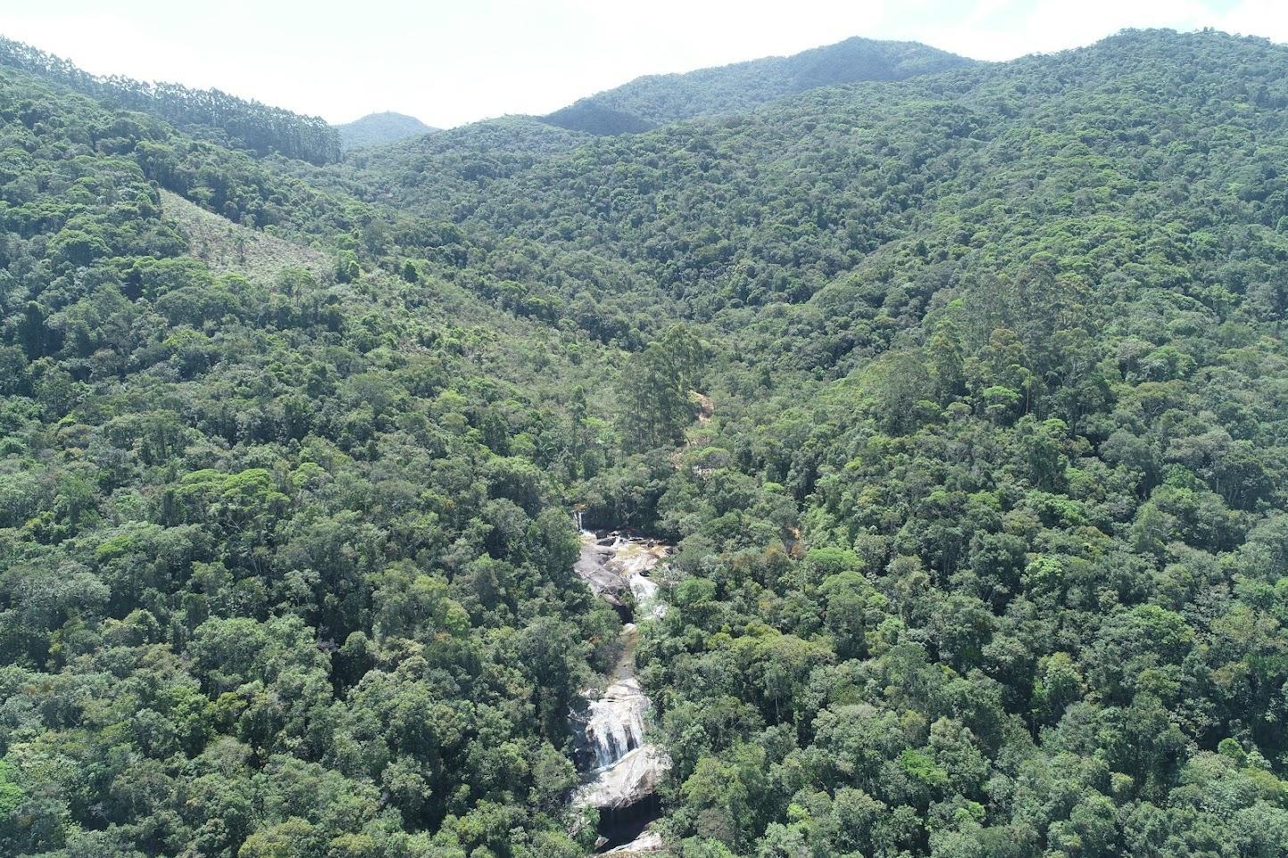 SC investe R$ 70 milhões para pagar produtores pela preservação ambiental a partir de 2026