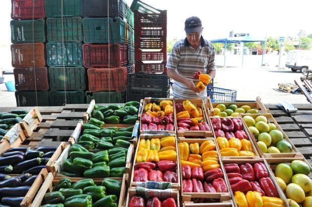 SC receberá R$ 1 milhão para combater desperdício de alimentos