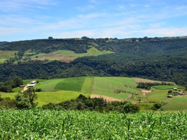 SC Rural 2 prevê R$ 750 milhões para apoiar famílias rurais em Santa Catarina