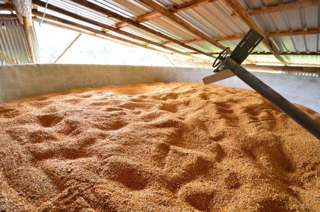 SC tem déficit de 800 mil toneladas na armazenagem de grãos, aponta Epagri
