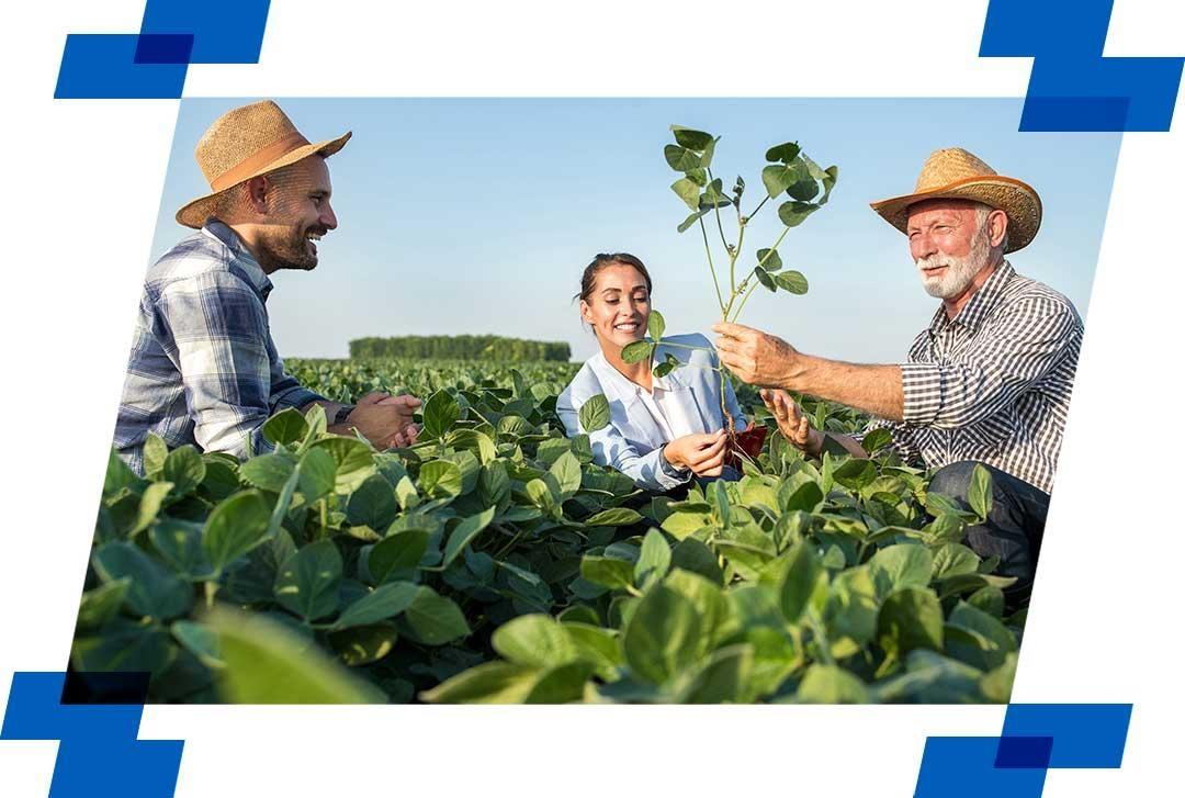 Sebrae contrata Agente de Inovação Local para apoiar agricultores em Ituporanga