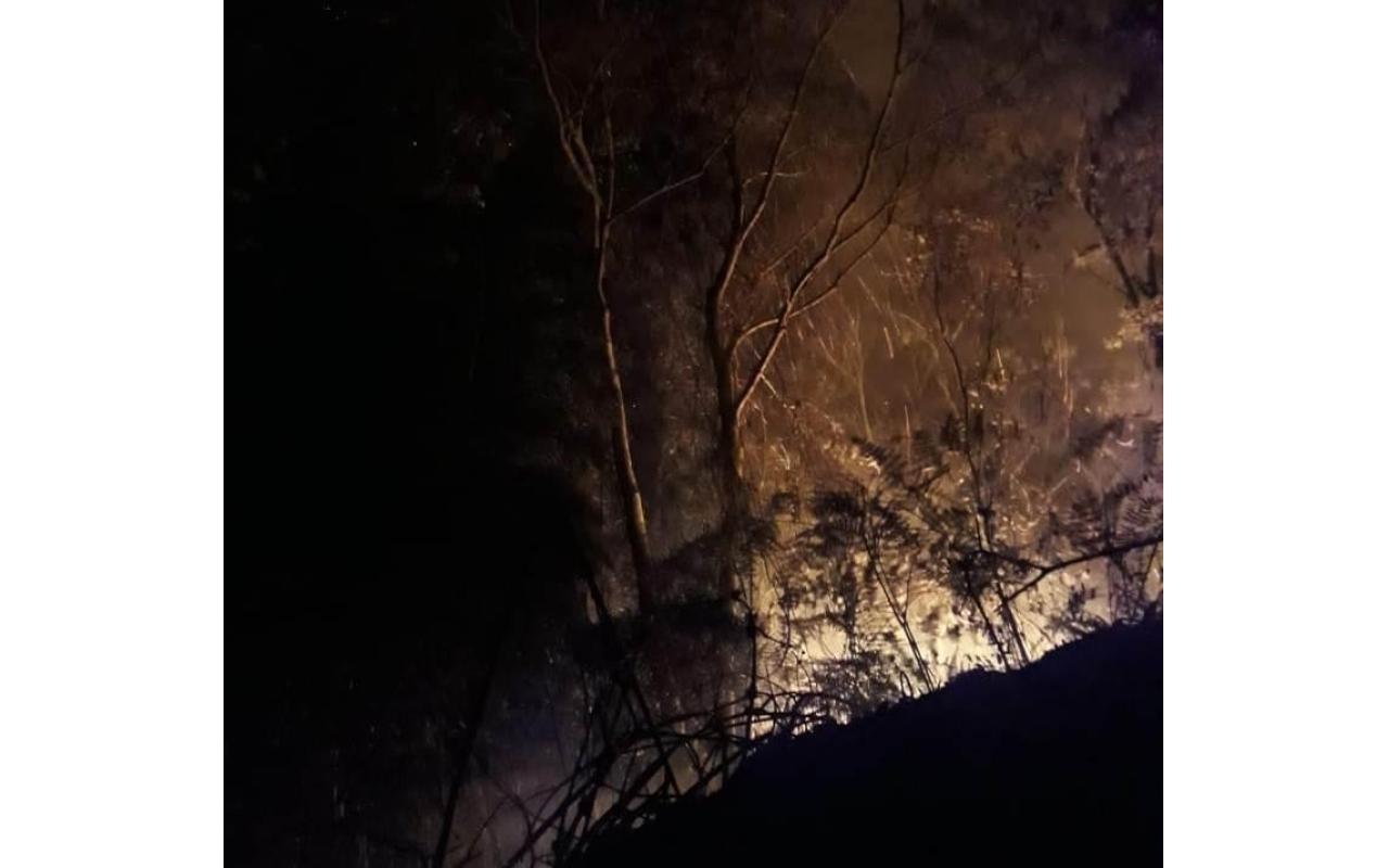 Seca: Bombeiros levam mais de sete horas para combater incêndio em vegetação, em Vidal Ramos