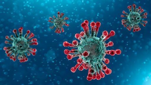 Secretaria da Saúde de Ituporanga inicia ações para evitar transmissão do Coronavirus