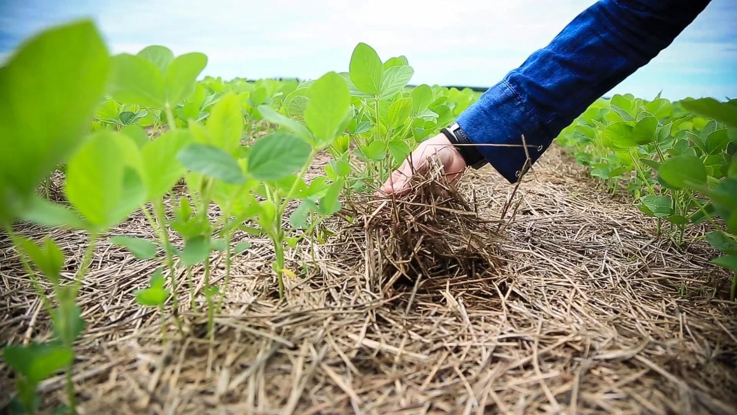 Seminário em Agronômica vai discutir conservação do solo no Alto Vale