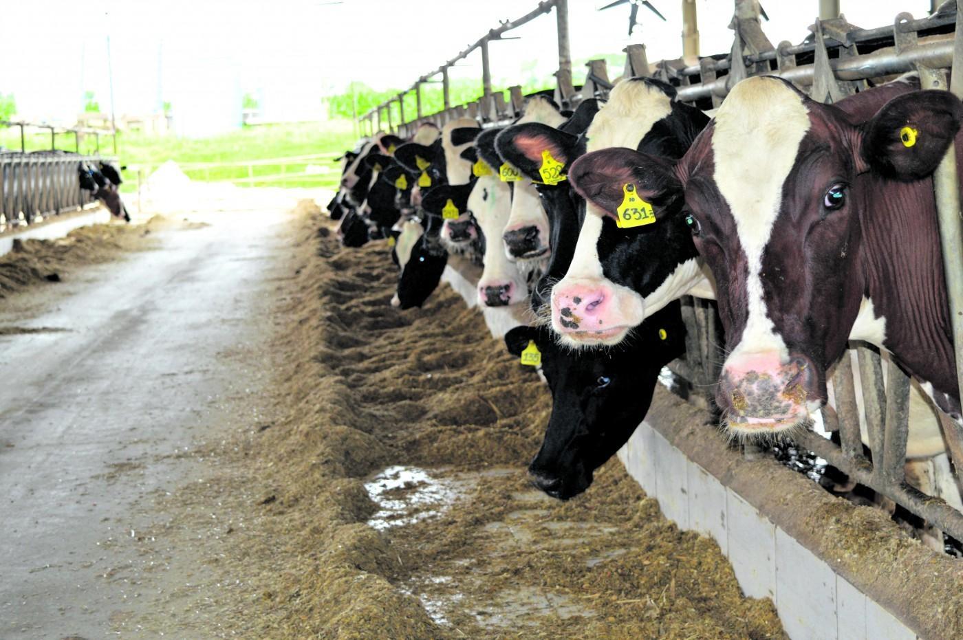 Seminário Técnico CRAVILPEC reúne pecuaristas em Petrolândia nesta quarta-feira (21)