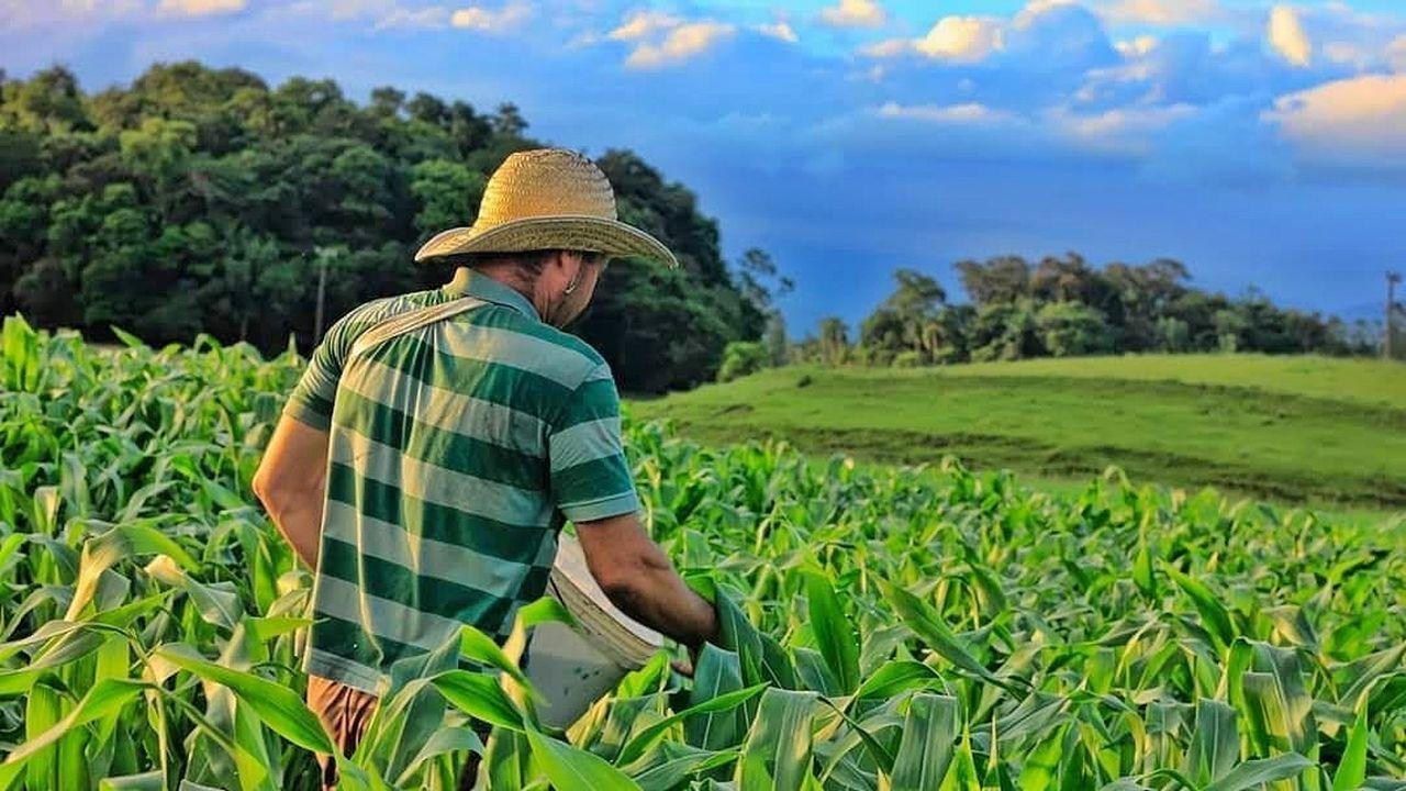 Senar abre inscrições para o curso Técnico em Agronegócio na cidade de Rio do Sul