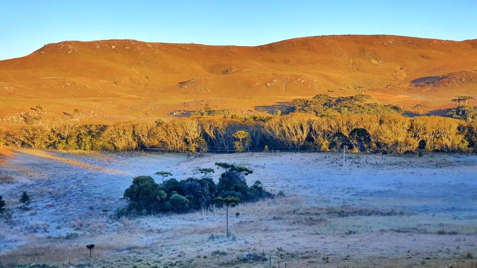Serra Catarinense registra terceiro dia consecutivo de geada 