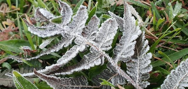 Serra registra a primeira temperatura negativa de 2019 em SC