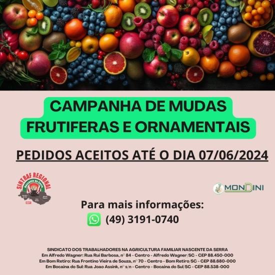 Sindicato de Bom Retiro realiza campanha de mudas frutíferas e ornamentais