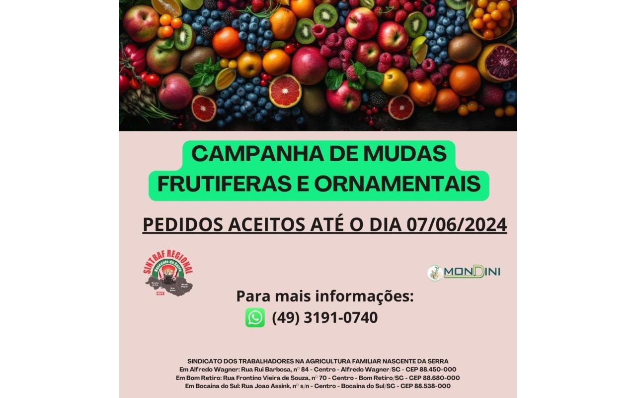 Sindicato de Bom Retiro realiza campanha de mudas frutíferas e ornamentais