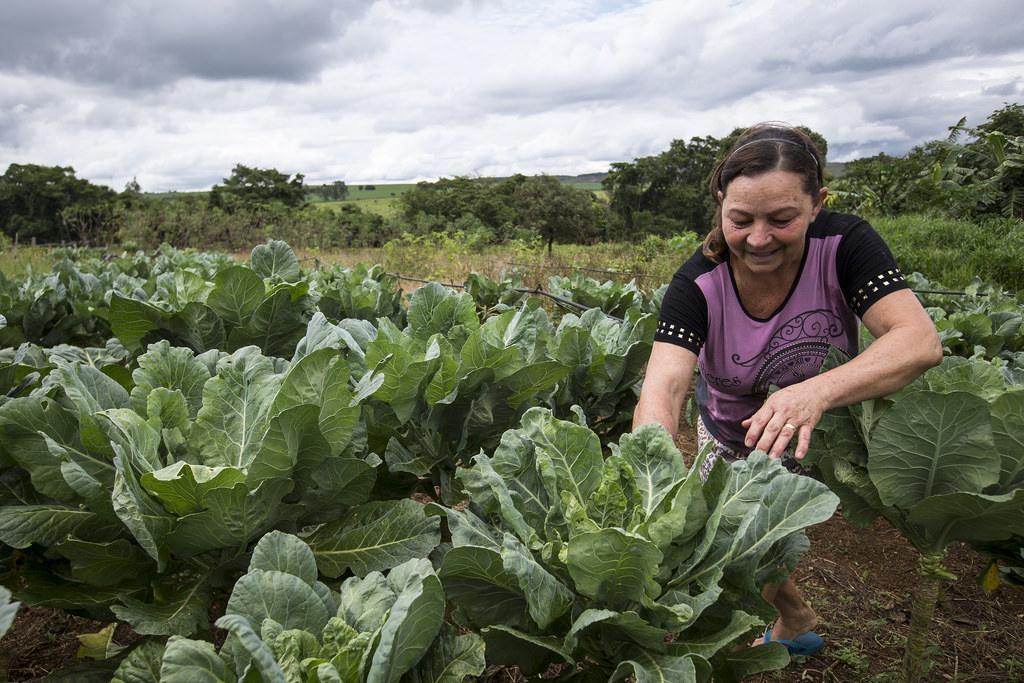 Sindicato Rural de Ituporanga promove encontro com foco na saúde da mulher