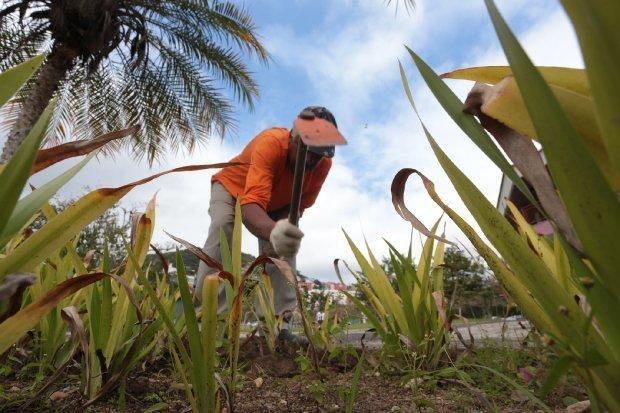 Taxa de desemprego em Santa Catarina cai para 5,3% e é a menor do Brasil 