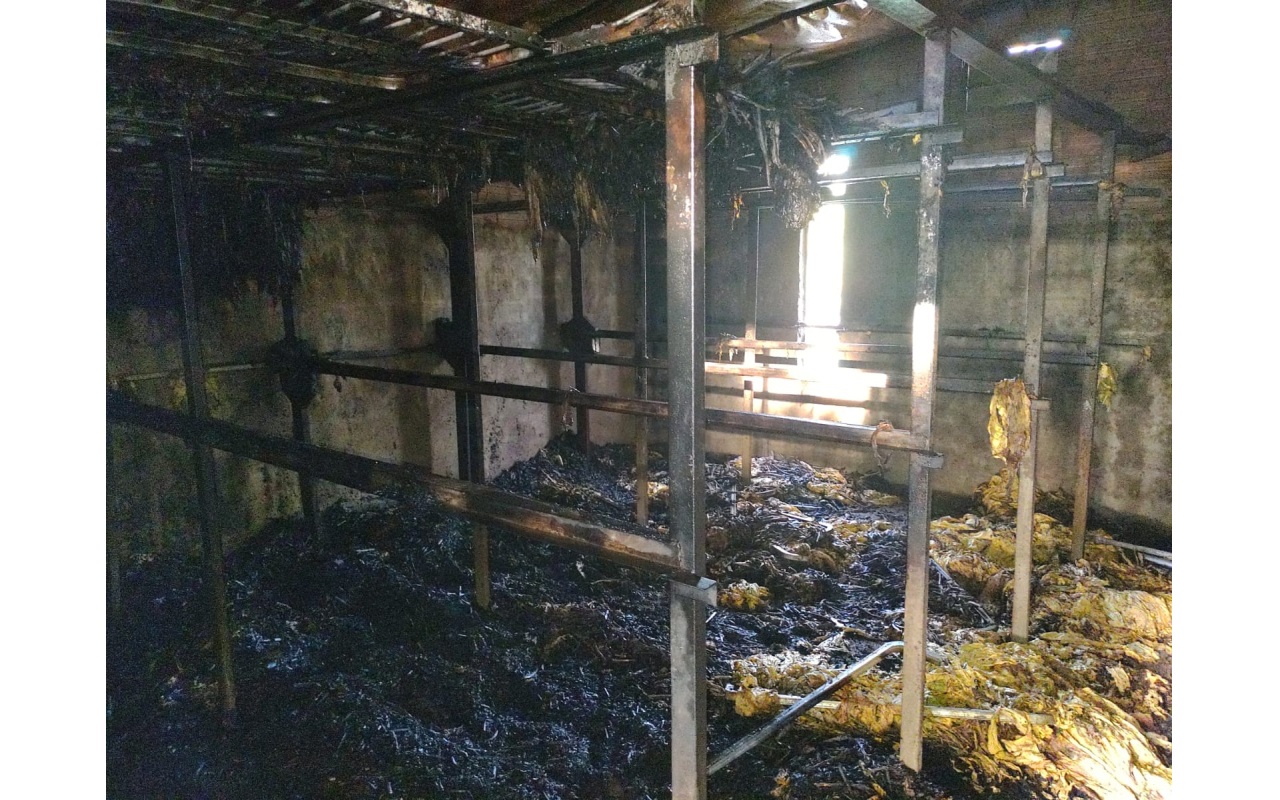 Terceiro incêndio a estufa de fumo é registrado nesta safra na Região da Cebola