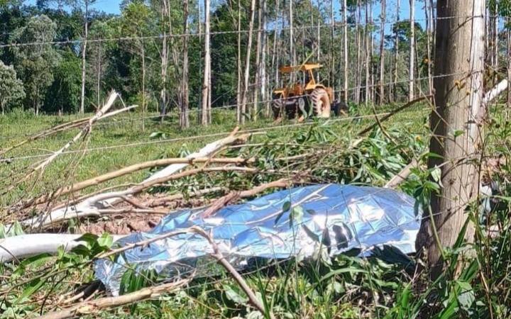 Uma pessoa morre e outra fica gravemente ferida em duas ocorrências de corte de árvores em reflorestamento no Alto Vale