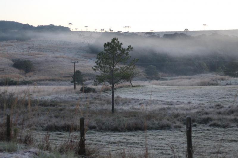 Urupema amanhece com -4,7ºC nesta quinta-feira; dia promete ser gelado em SC