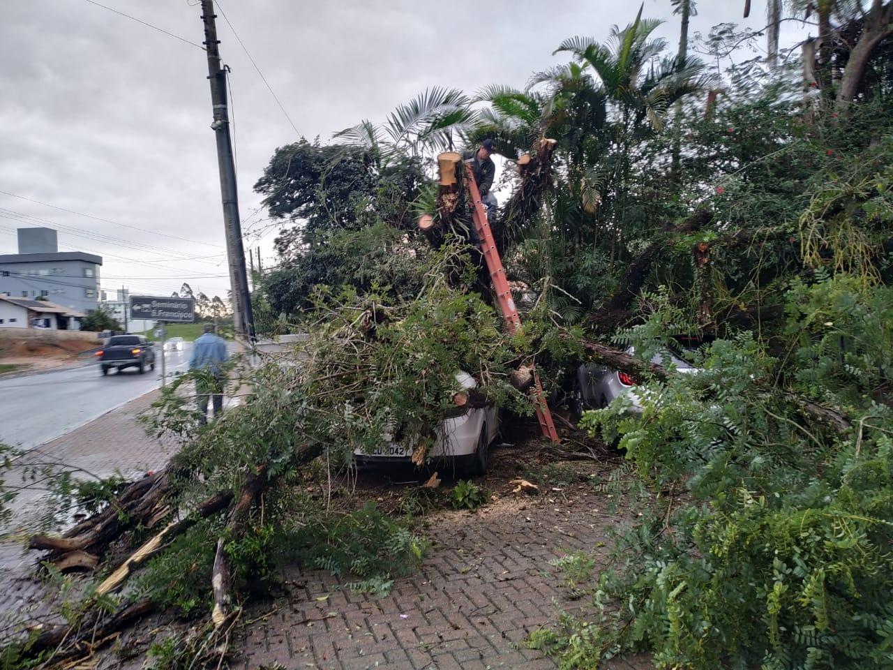 Vendaval causa estragos em Ituporanga