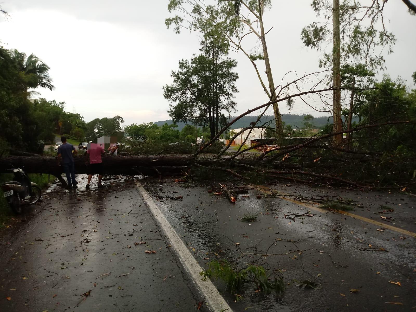 Vendaval deixa um rastro de destruição no município de Agronômica