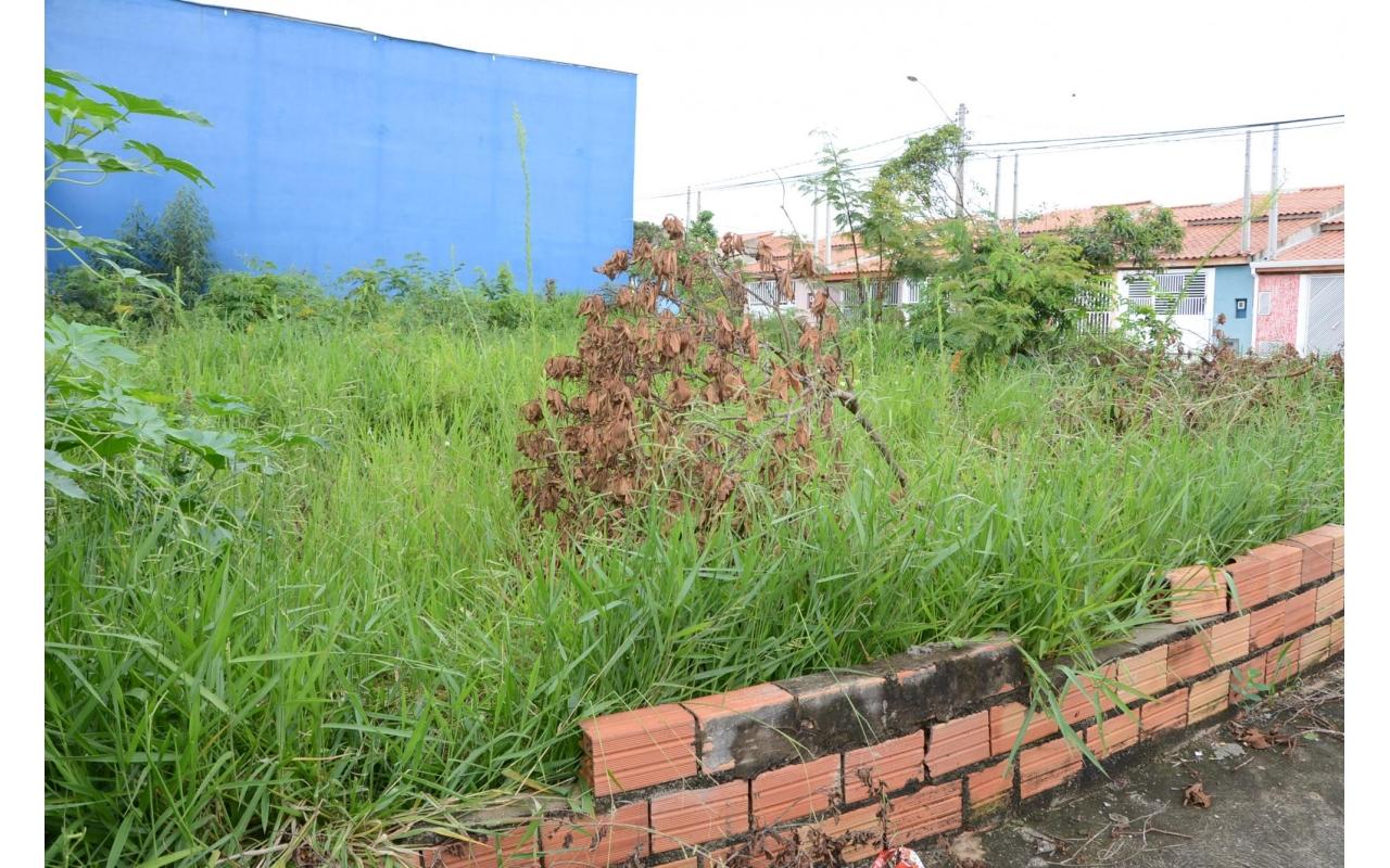 Vereador sugere punições a proprietários de imóveis e terrenos que se encontrem em estado de abandono em Ituporanga