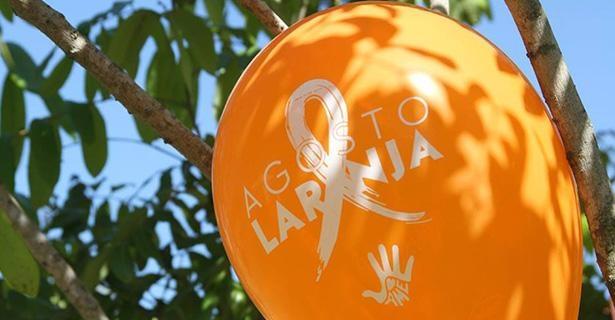 Vereadores aprovam projeto que inclui Agosto Laranja no calendário de eventos de Ituporanga