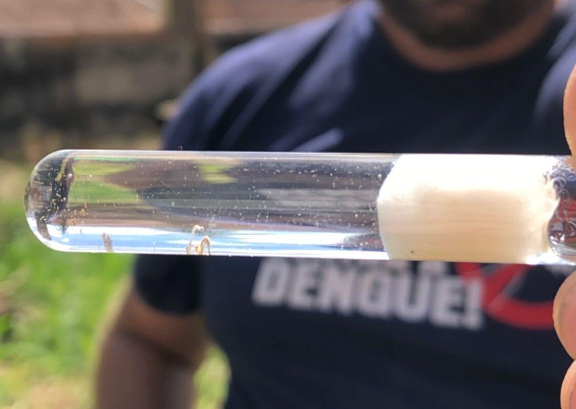 Vigilância Sanitária de Rio do Sul pede que moradores e visitantes usem repelente